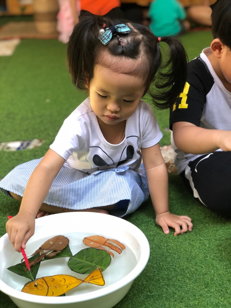 Chương trình học