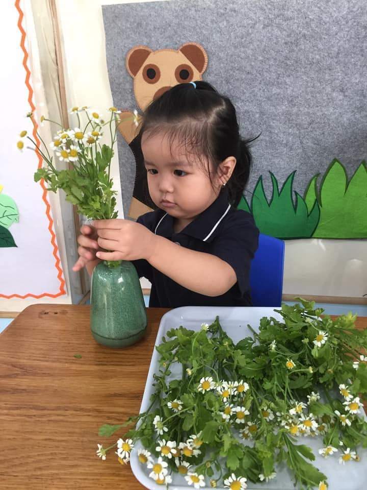 Chương trình học