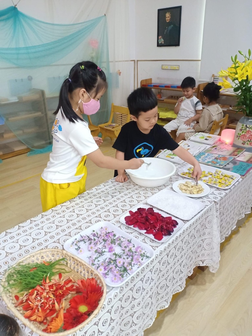 Chương trình học