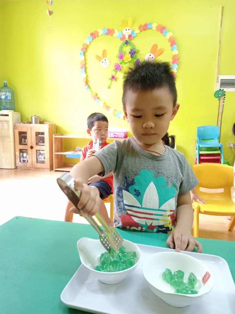 Mầm Non Teddy House - Dương Nội