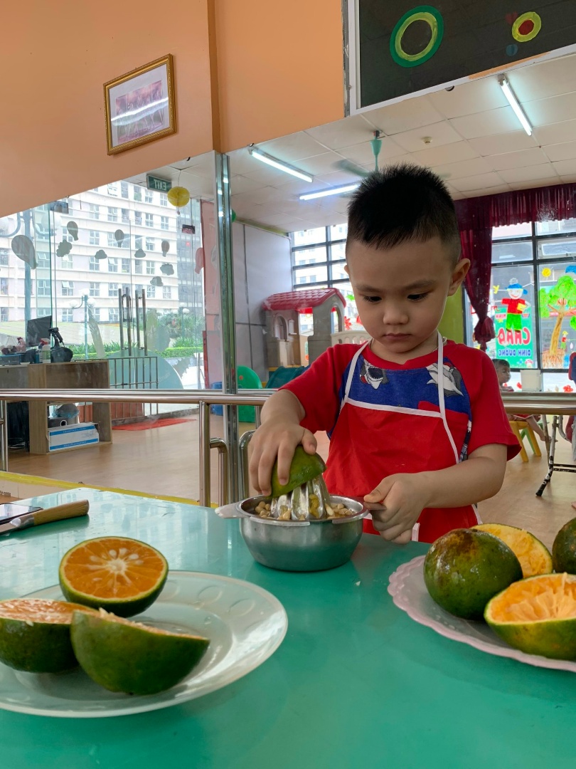 Chương trình học