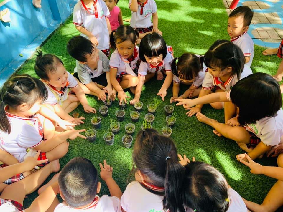 Chương trình học