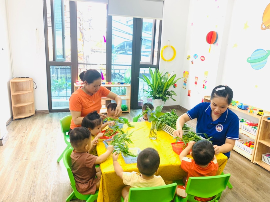 Chương trình học