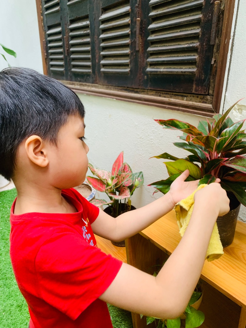 Chương trình học