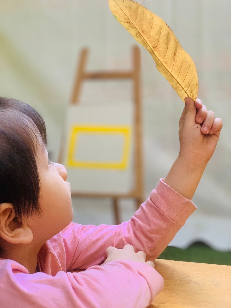 Chương trình học