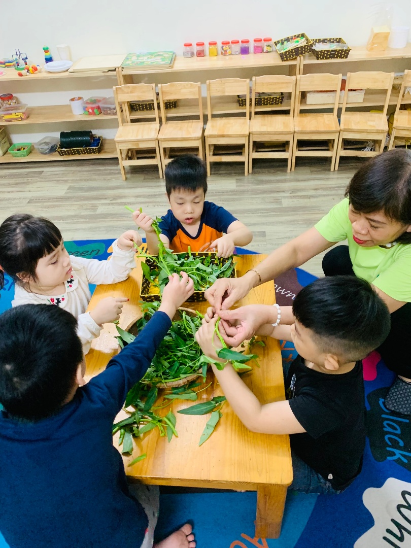 Chương trình học