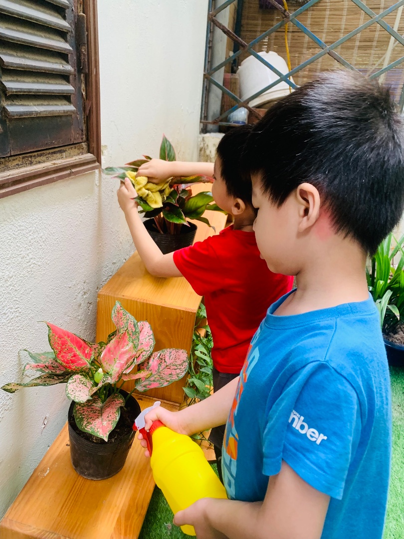 Chương trình học