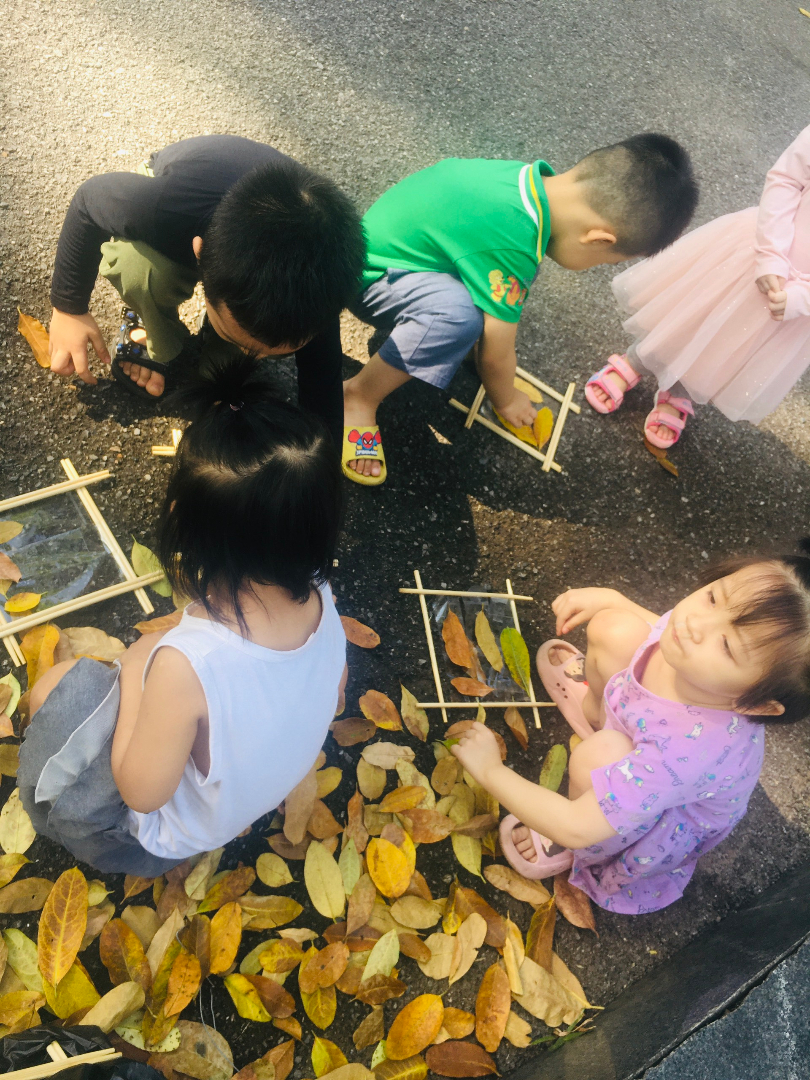 Chương trình học