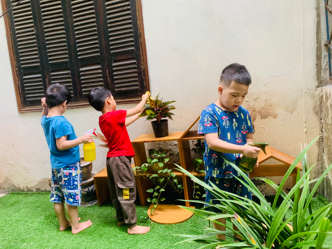 Chương trình học