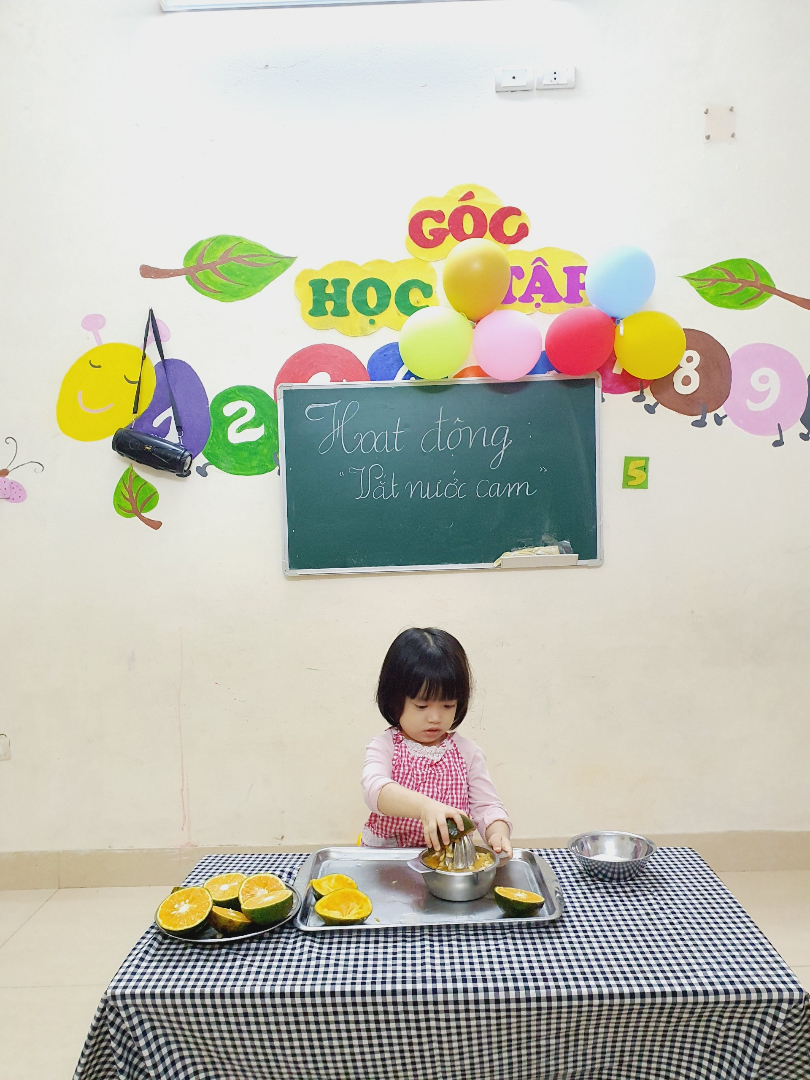 Chương trình học