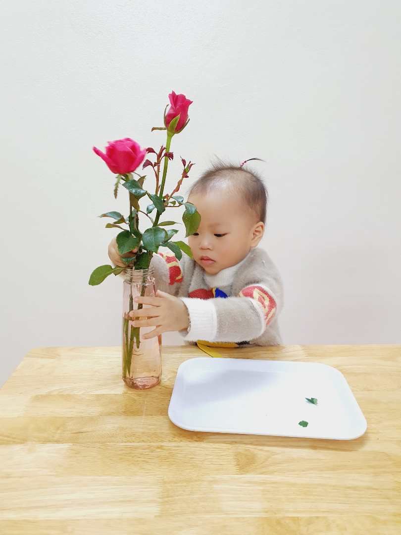 Chương trình học