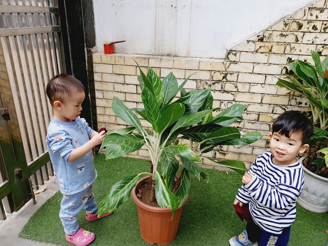 Chương trình học