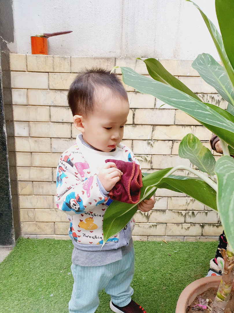 Chương trình học