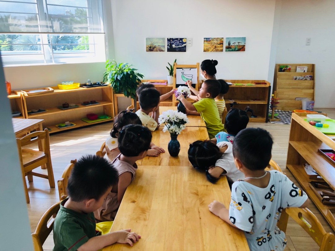 Chương trình học