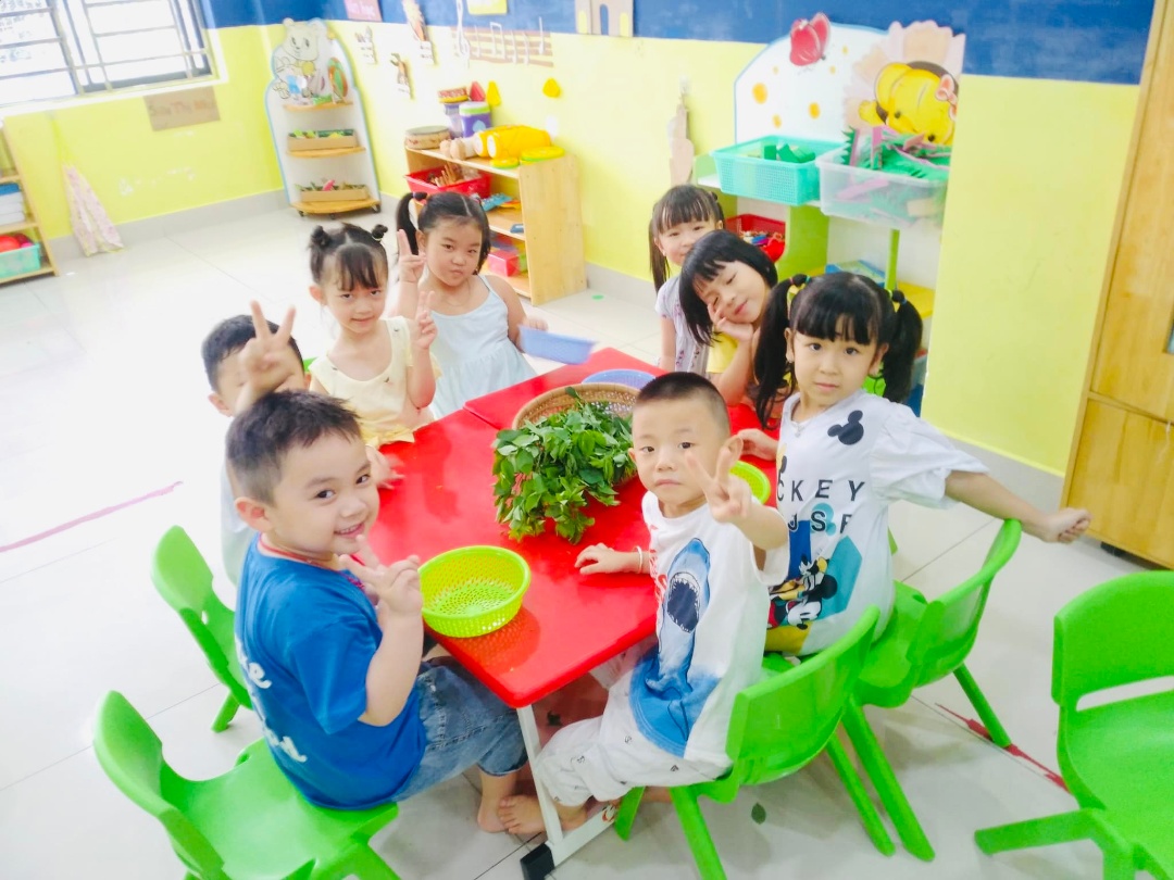 Chương trình học