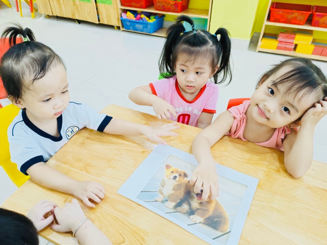 Chương trình học