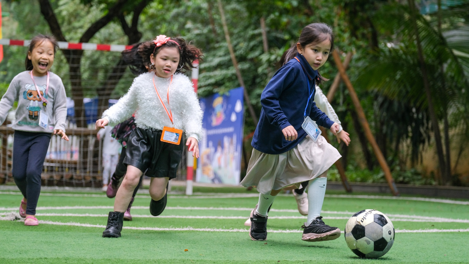 Chương trình học