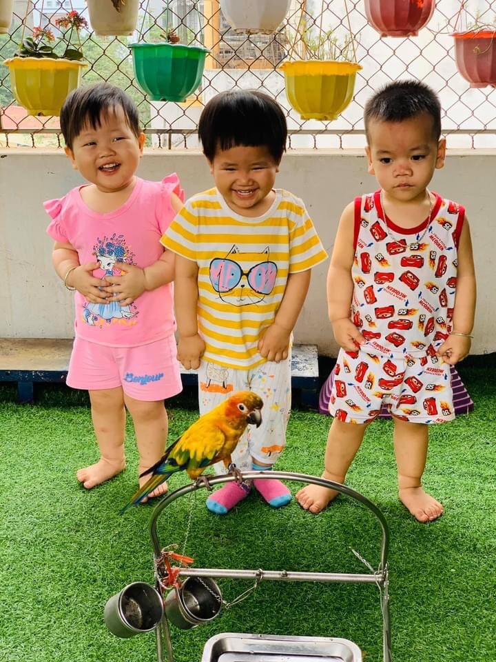 Cơ cở vật chất