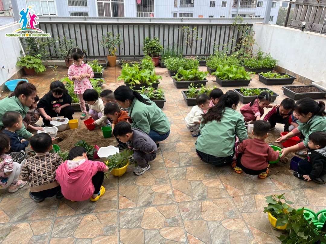 Cơ cở vật chất