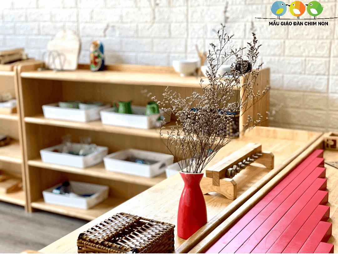 Cơ cở vật chất