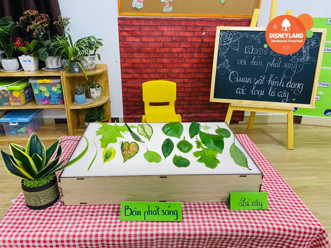 Cơ cở vật chất