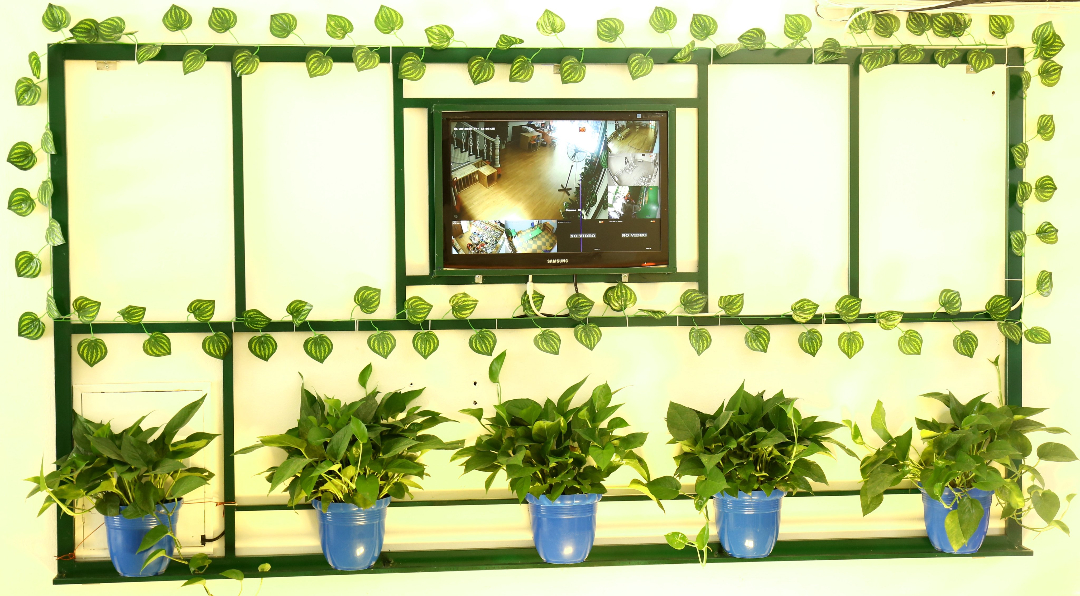 Cơ cở vật chất