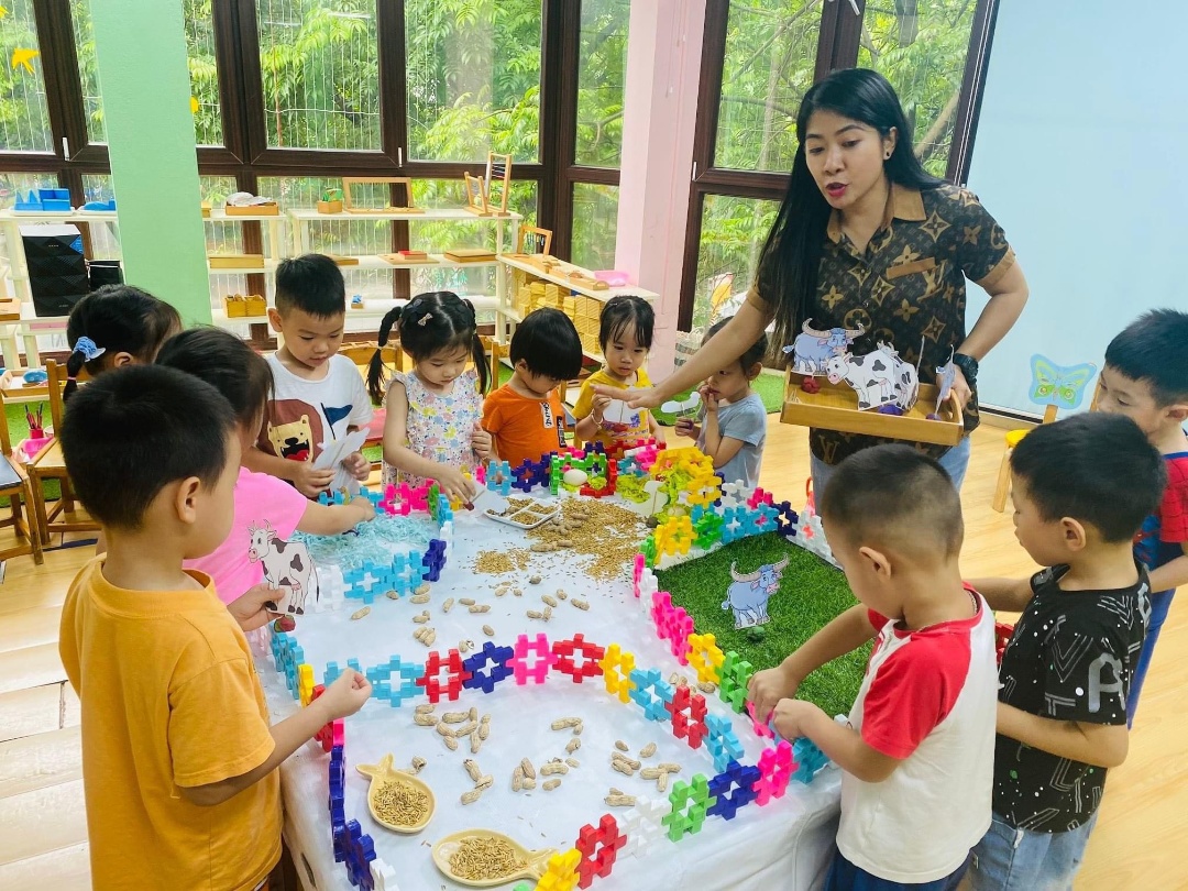 Cơ cở vật chất