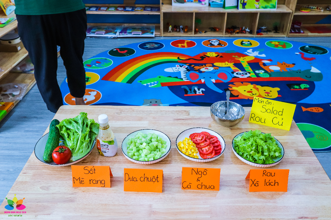 Cơ cở vật chất