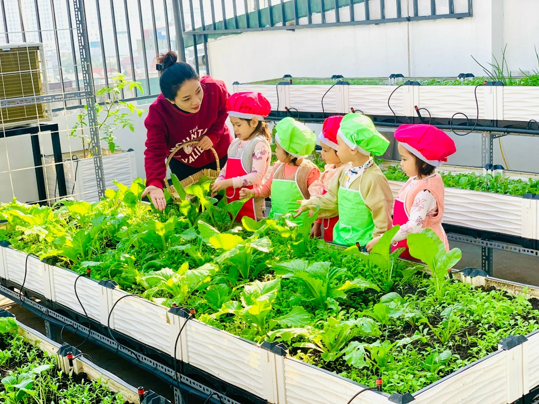 Cơ cở vật chất