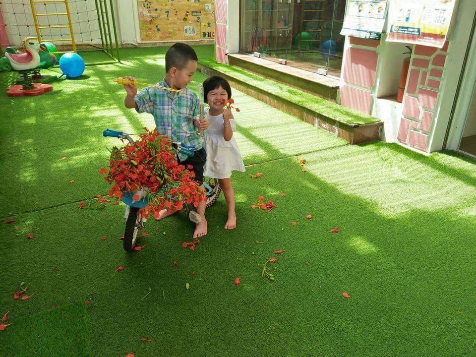 Cơ cở vật chất