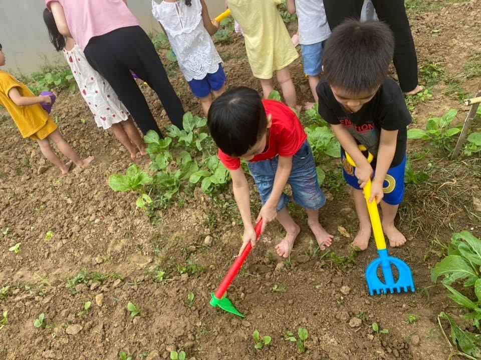 Cơ cở vật chất