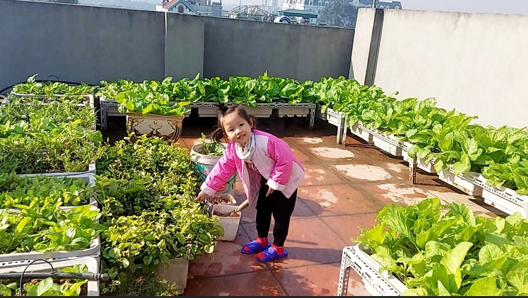 Cơ cở vật chất