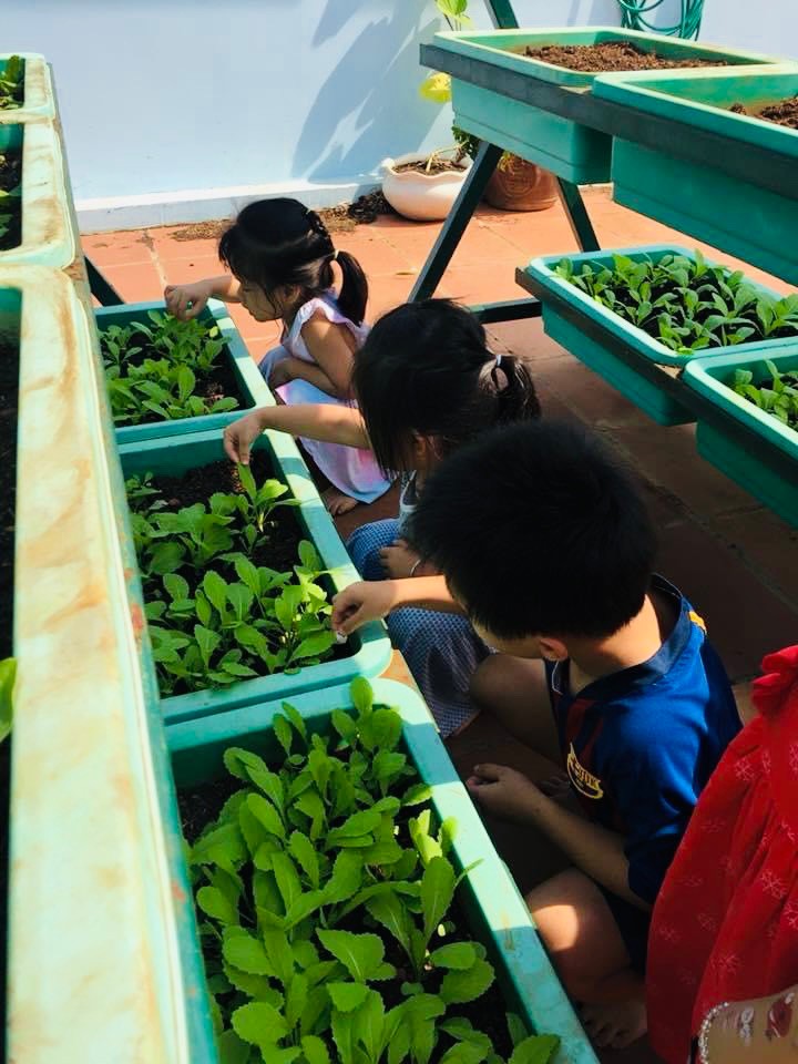 Cơ cở vật chất