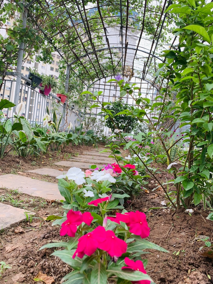 Cơ cở vật chất