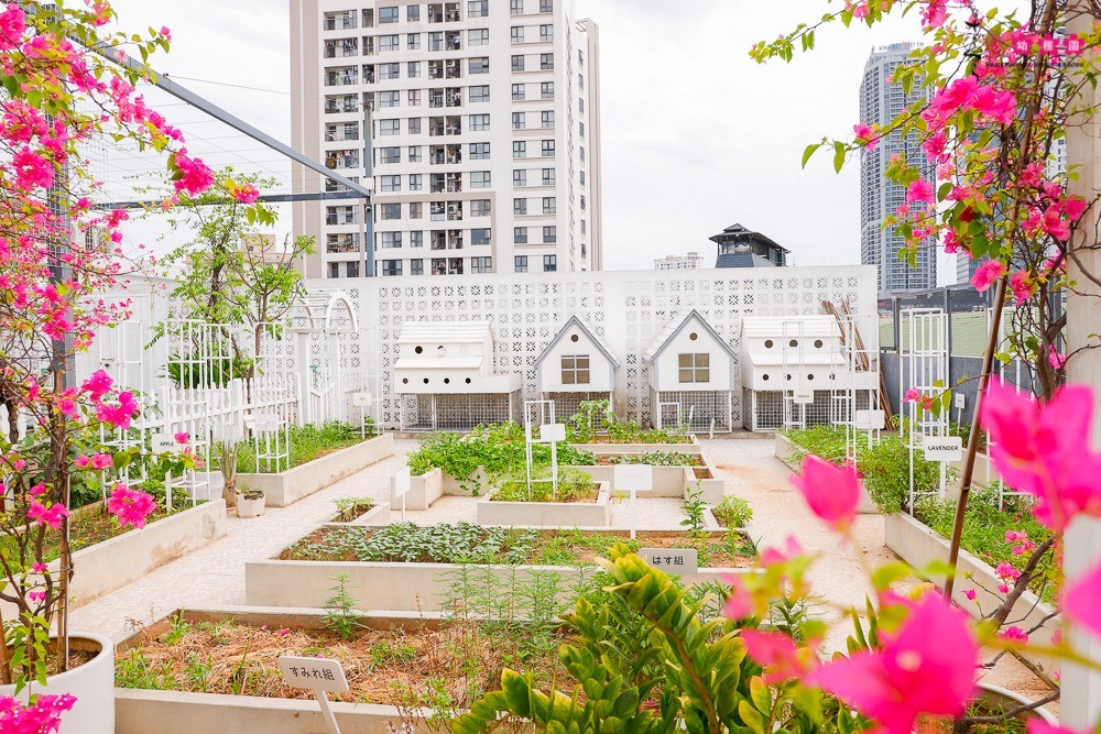 Cơ cở vật chất