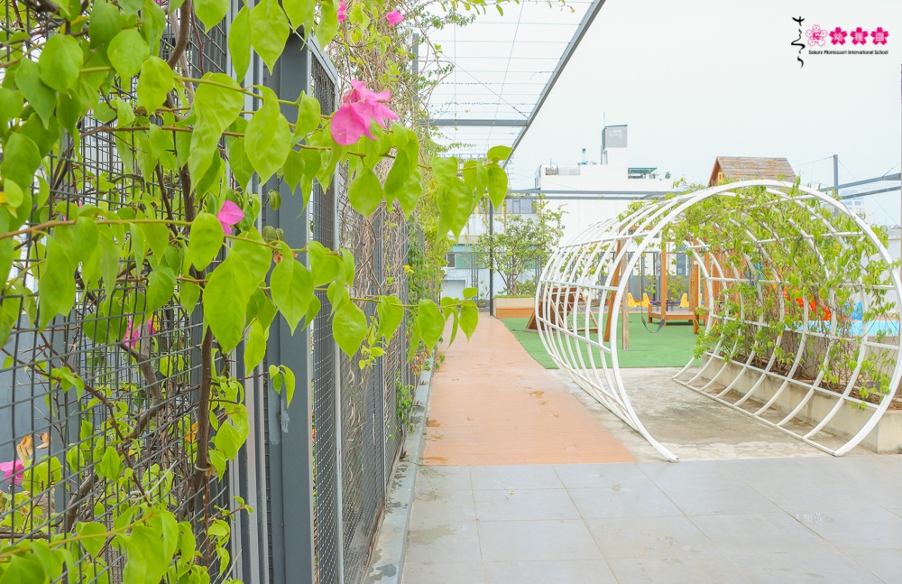 Cơ cở vật chất