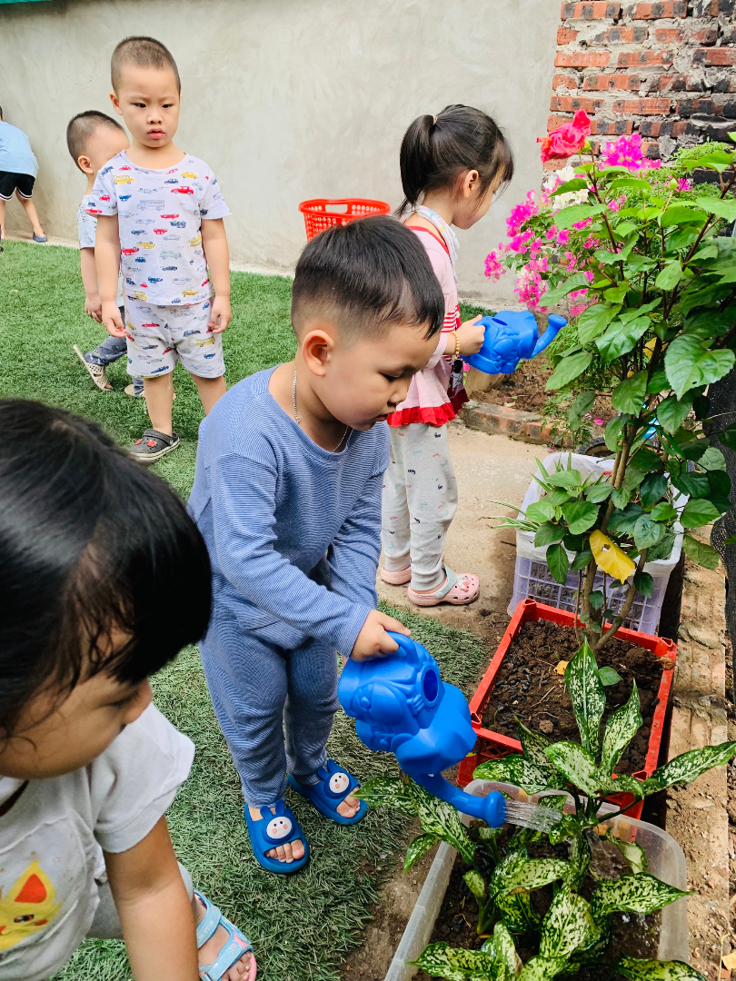 Cơ cở vật chất