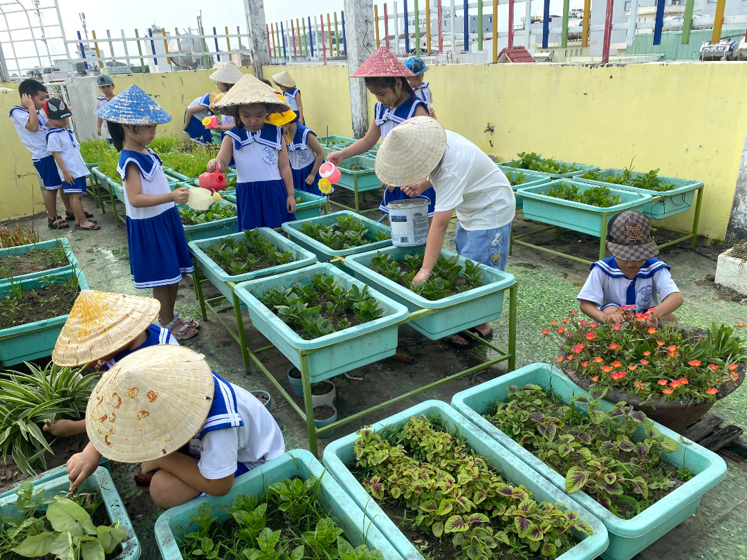 co-so-vat-chat co-so-vat-chat