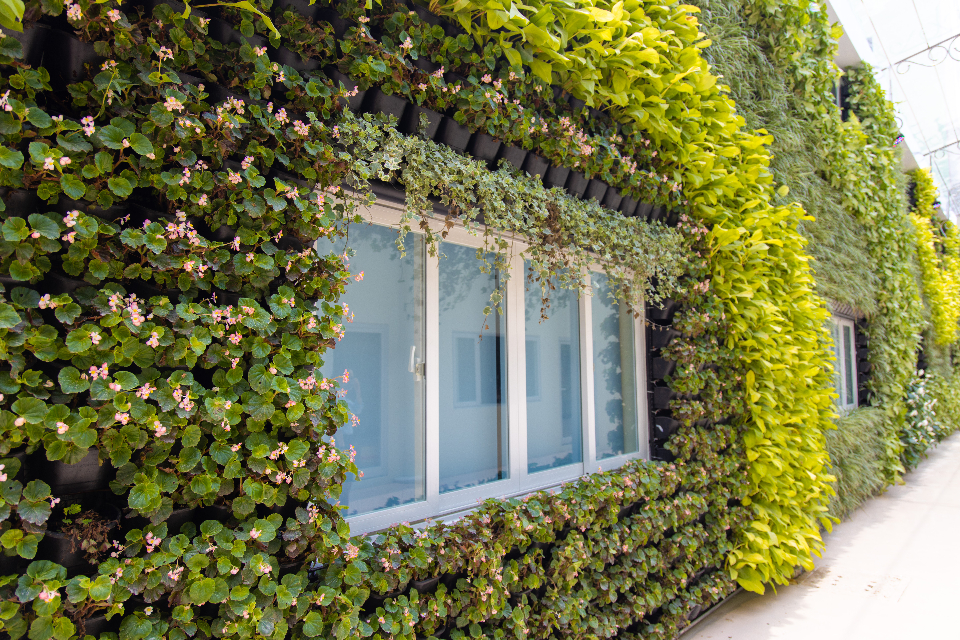 co-so-vat-chat co-so-vat-chat