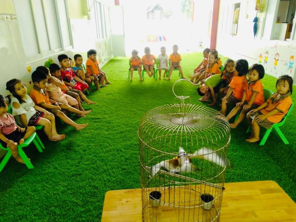 Cơ cở vật chất