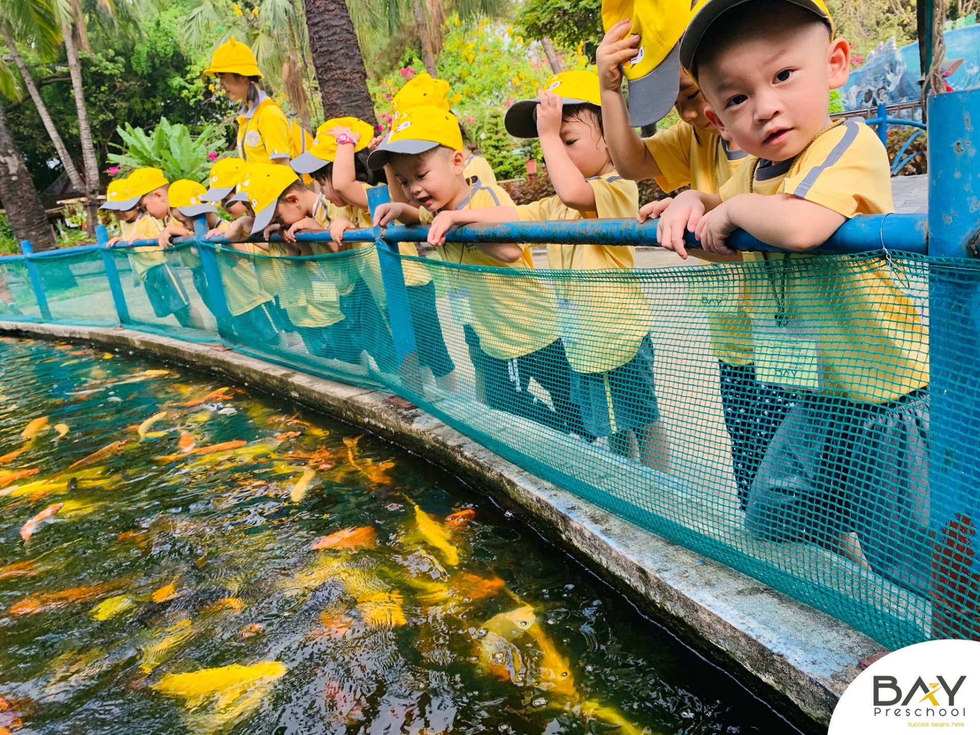 Dịch vụ và tiện ích