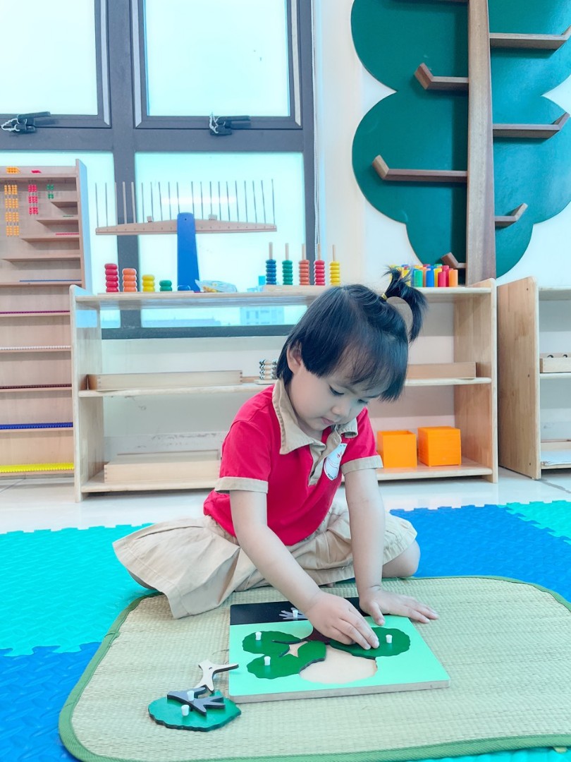 Điểm nổi bật