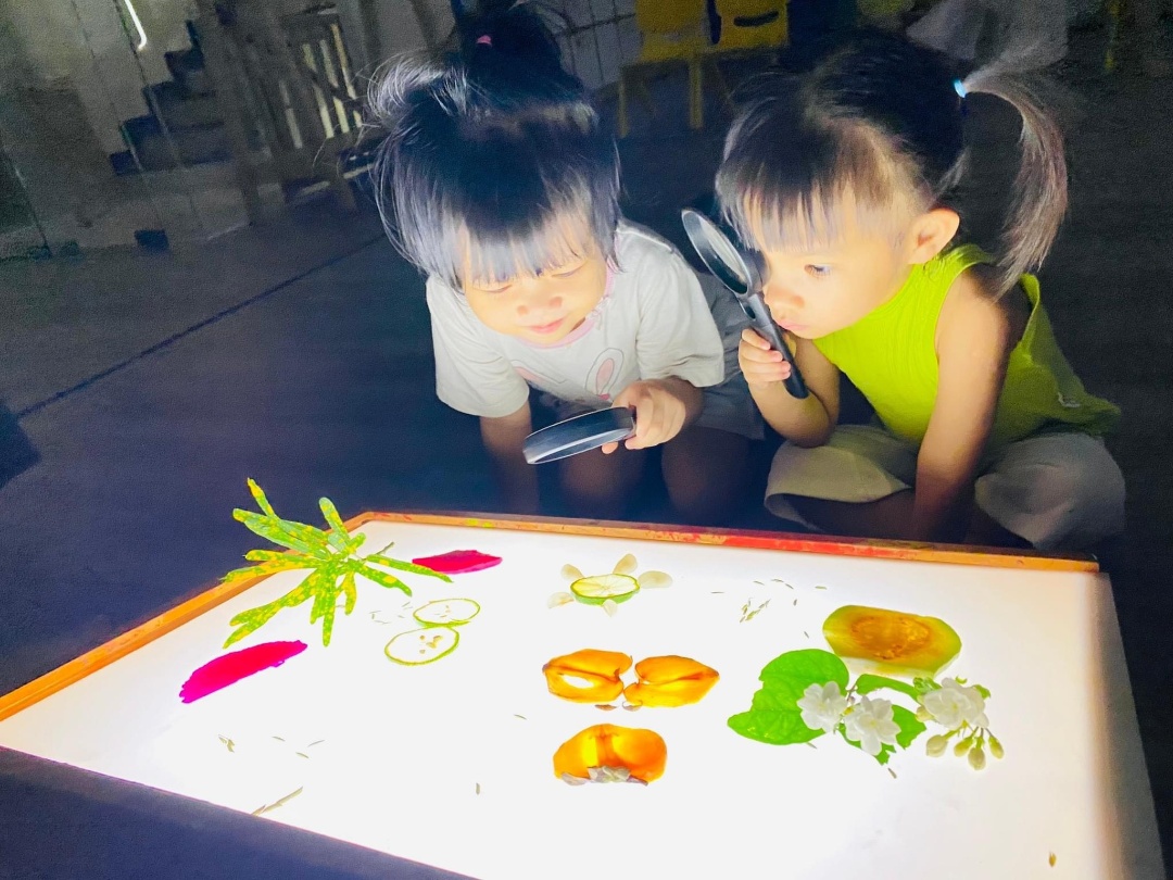 Điểm nổi bật