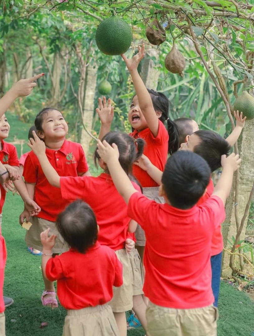 Điểm nổi bật