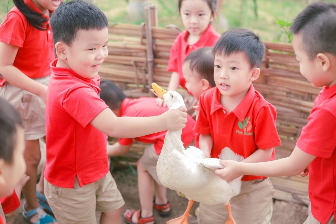 Điểm nổi bật