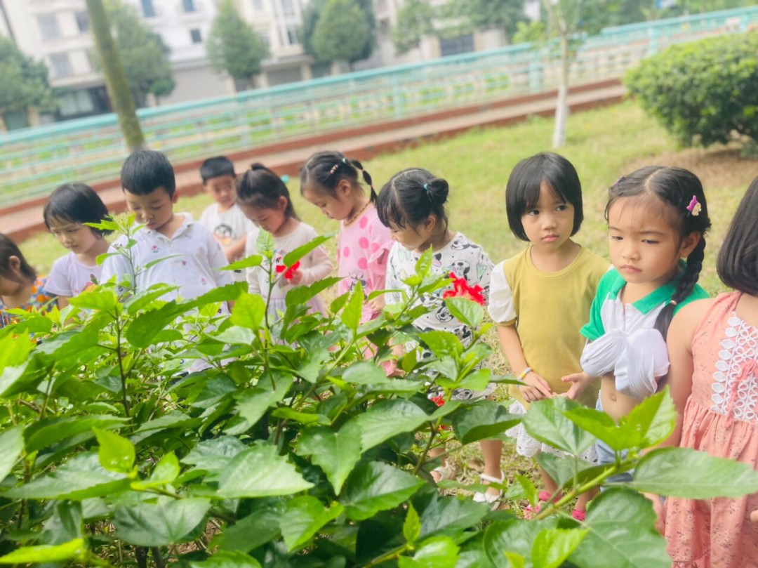 Điểm nổi bật