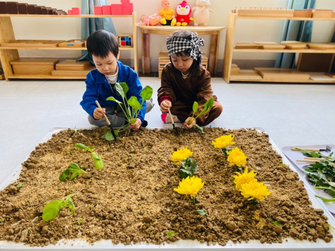 Điểm nổi bật