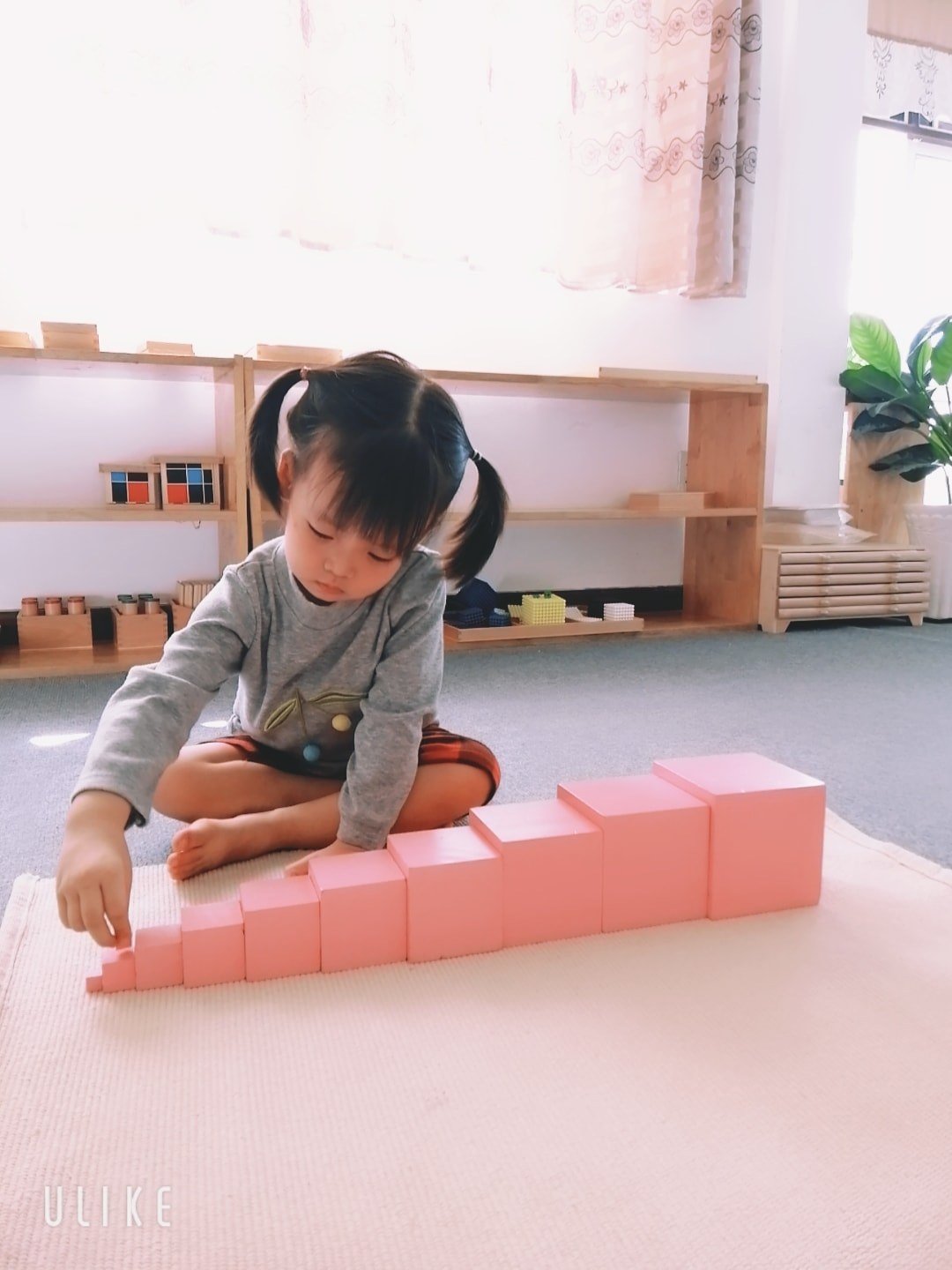 Chương trình học