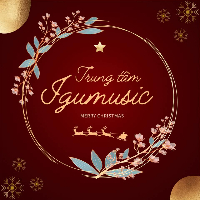 Trung Tâm Âm Nhạc Ninh Bình Igumusic - Lương Văn Tụy