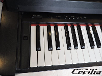 Trung Tâm Âm Nhạc Và Biểu Diễn Nghệ Thuật Cecilia - Lương Khánh Thiện